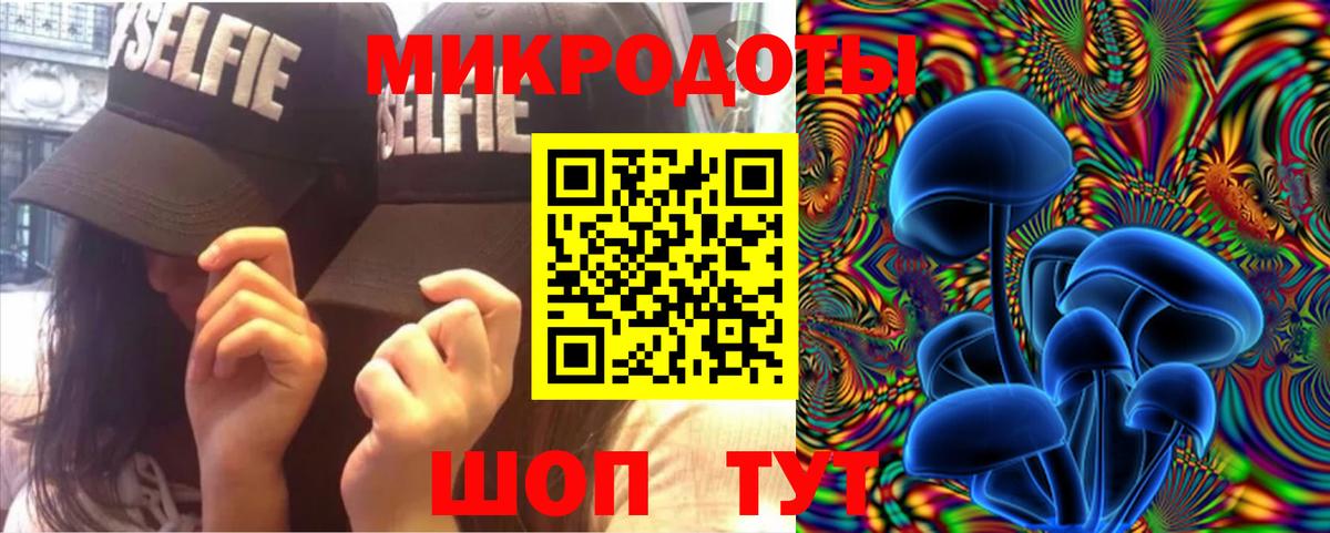 Междуреченск  Псилоцибиновые грибы мухоморы  Вход с VPN 